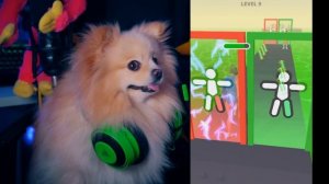 ЭВОЛЮЦИЯ ХАГГИ ВАГГИ - я стала ХАГГИ ВАГГИ | НУБ VS ПРО | ЭВОЛЮЦИЯ МОНСТРОВ MONSTERS LAB