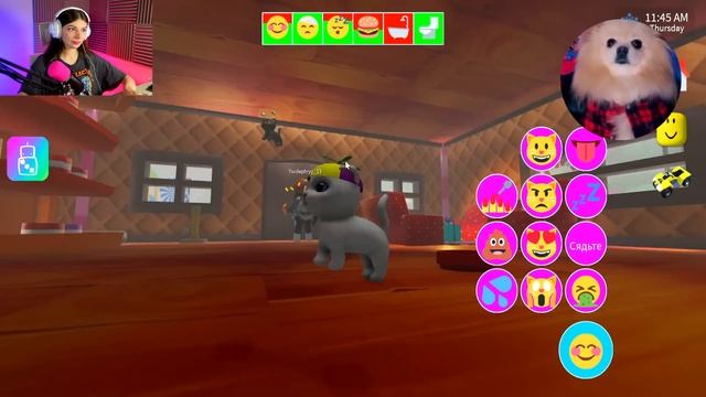 МЫ СТАЛИ КОТИКАМИ И НАС ВЫГНАЛИ ИЗ ДОМА ! НАС ПОХИТИЛИ ! МЫ БОЛЬШЕ НЕ БУДЕМ КАКАТЬ В РОБЛОКС смотреть онлайн