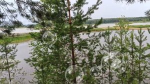 НА БЕРЕГУ ЧУ Я ТЕБЯ ИЩУ!