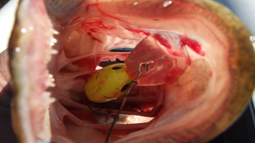 ЛУЧШИЙ МОМЕНТ для ловли щуки - ПРОСВЕТЛЕЛА РЕКА после ливней. Как дразнить ее из травы.