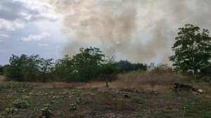 Дождалась!!! Ждали дождь, а вместо дождя...!!! Жизнь на пенсии.