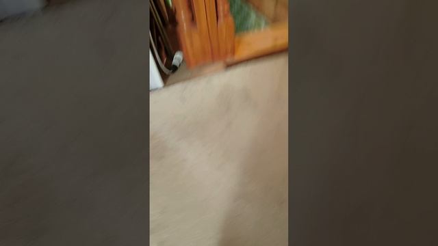 1000034866.mp4 смотреть онлайн