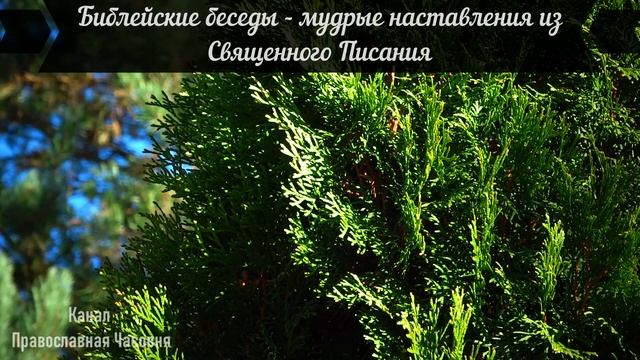 ВОТ ПРИЧИНА МНОГИХ БОЛЕЗНЕЙ У ЛЮДЕЙ! НАСТВЛЕНИЯ ИЗ СВЯЩЕННОГО ПИСАНИЯ смотреть онлайн