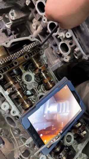 Провисает цепь ГРМ - значит пора ее менять?