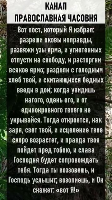 Важно знать! Пост угодный Богу: смотреть онлайн