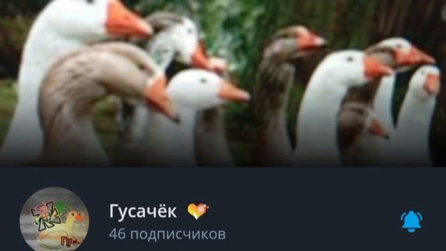 Гусачёк VS T1xen смотреть онлайн