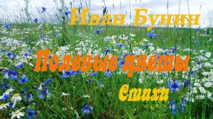 Иван Бунин - Полевые цветы и другие стихи.Сборник.
