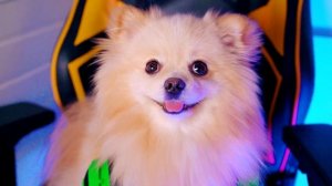 НУЖНО ПОГОВОРИТЬ