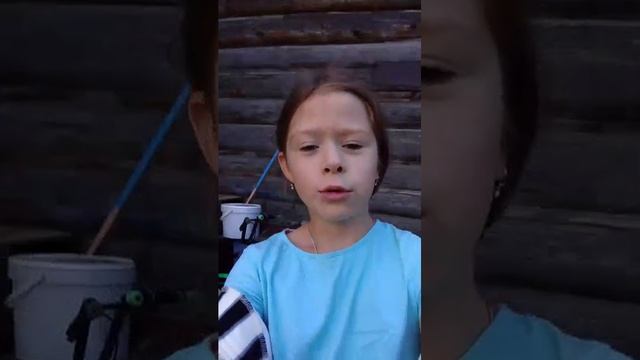 зая смотреть онлайн