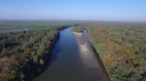 Вид с высоты птичьего полета Старая Обь и протока Заломная.