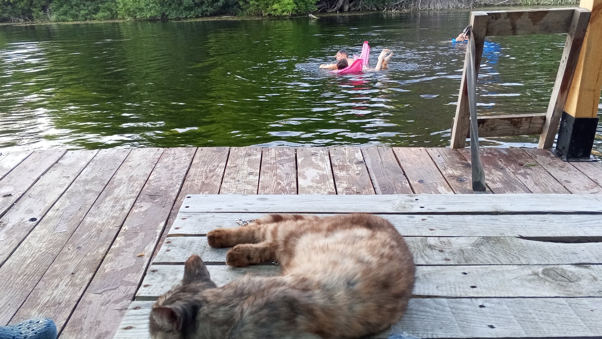 Деревенские будни