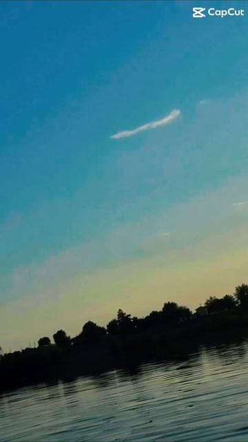 🦘Клип уже на Ютубе - WEMORT #wemort #веморт #кенгуру #kangaroo #лето #жара #сапы #svtsparta #свтспа смотреть онлайн