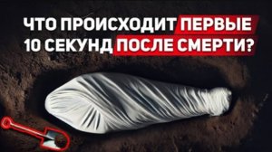Что происходит первые 10 секунд после смерти?