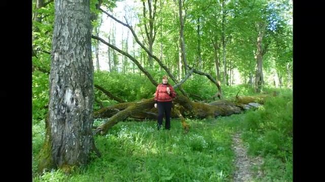 Ты меня знаешь - Автор музыка и поёт Александр Вестров смотреть онлайн