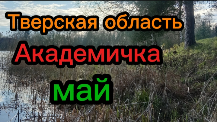 Тверская область Академическая дача им.Репина в мае. смотреть онлайн