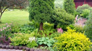 Клумба сторожил в природном стиле.  Июль.