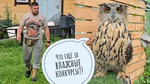 Вот это дождик! Кто победил в конкурсе мокрых маечек: Артём или сова филин Ёлка?