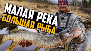 НЕОЖИДАННЫЙ ТРОФЕЙ! ЩУКА НА УЛЬТРАЛАЙТ В МАЛОЙ РЕКЕ