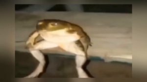 ПУКСИ[ ЧЕЛОВЕК ПРЕВРАТИЛСЯ В МОНСТРА