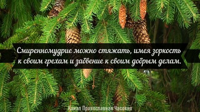 ИЗБРАННЫЕ ДУХОВНЫЕ НАСТАВЛЕНИЯ ЛУКИ КРЫМСКОГО смотреть онлайн