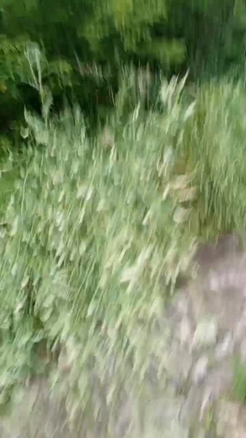 Доброе утро