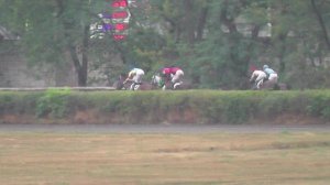 20.07.2025г скачка № 10