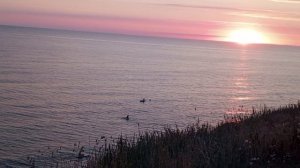 Анапа - Дзен почти август 2025