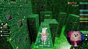 САМЫЙ БЫСТРЫЙ ЗАБЕГ В РОБЛОКС | Speed Run ROBLOX