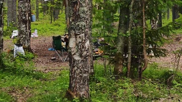 Карелия 2025 смотреть онлайн