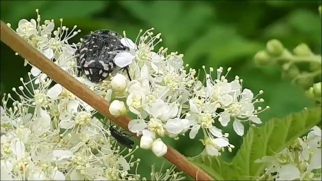 КОМЕДИЯ РОК Токсичные люди!((( смотреть онлайн