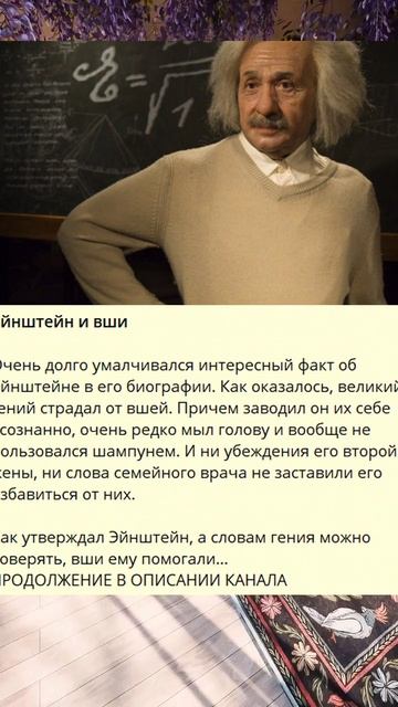 g_Эйнштейн и вши_L