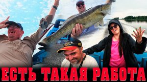 ЛУЧШАЯ РАБОТА! СДЕЛАТЬ ЛЮДЕЙ СЧАСТЛИВЫМИ. ВСЕ ПОШЛО НЕ ПО ПЛАНУ