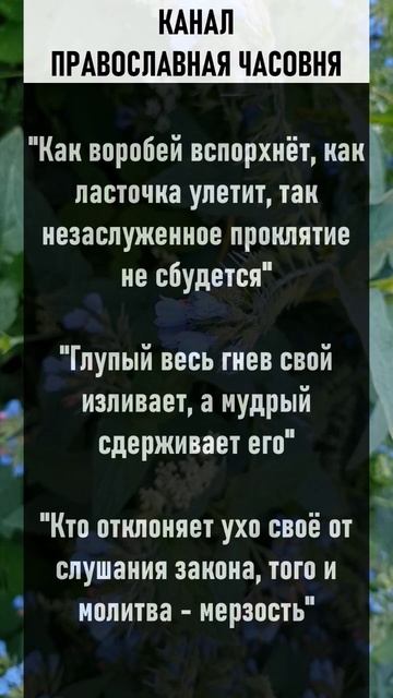 Не заслуженное проклятие не сбудется! смотреть онлайн