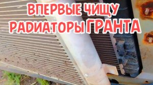 первая чистка радиаторов гранта за 4 года