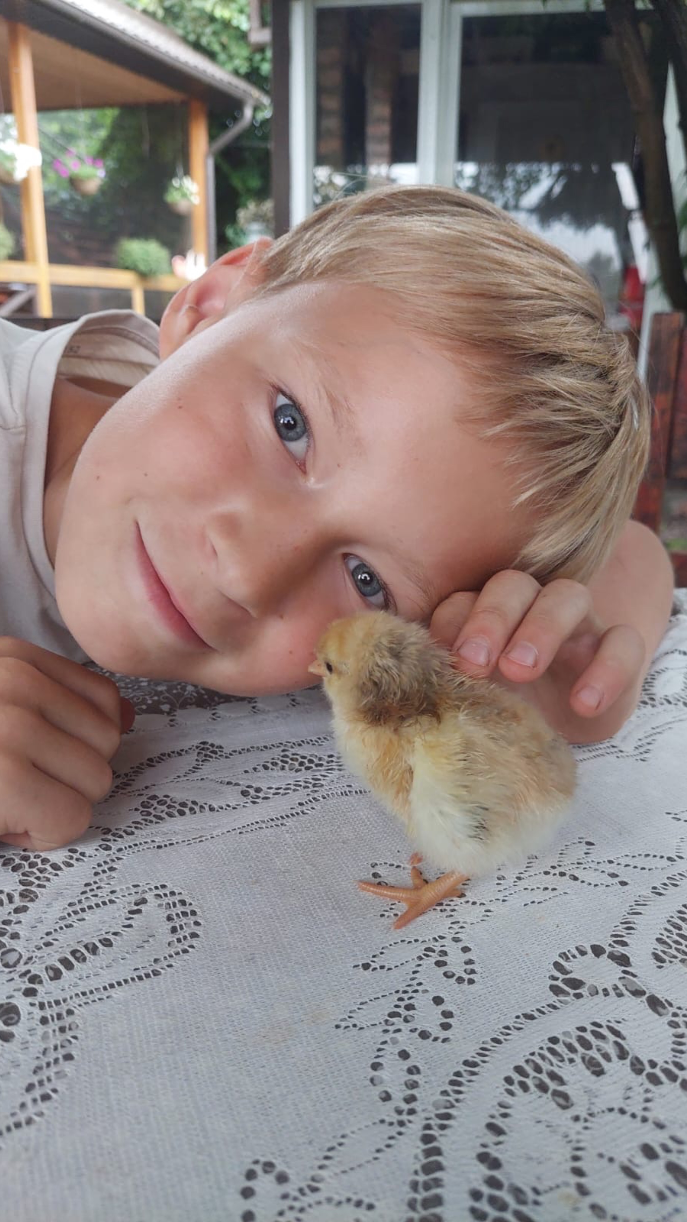 ВЫЛУПЛЕНИЕ ЦЫПЛЁНКА!!! 🐣 смотреть онлайн