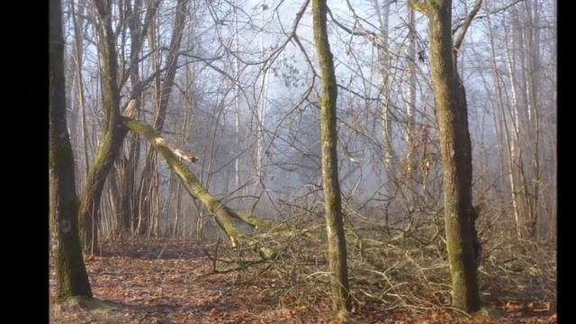 История огня - Автор музыка и поёт Дмитрий Романов смотреть онлайн