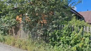 20-07-2025 приехала  на пруд