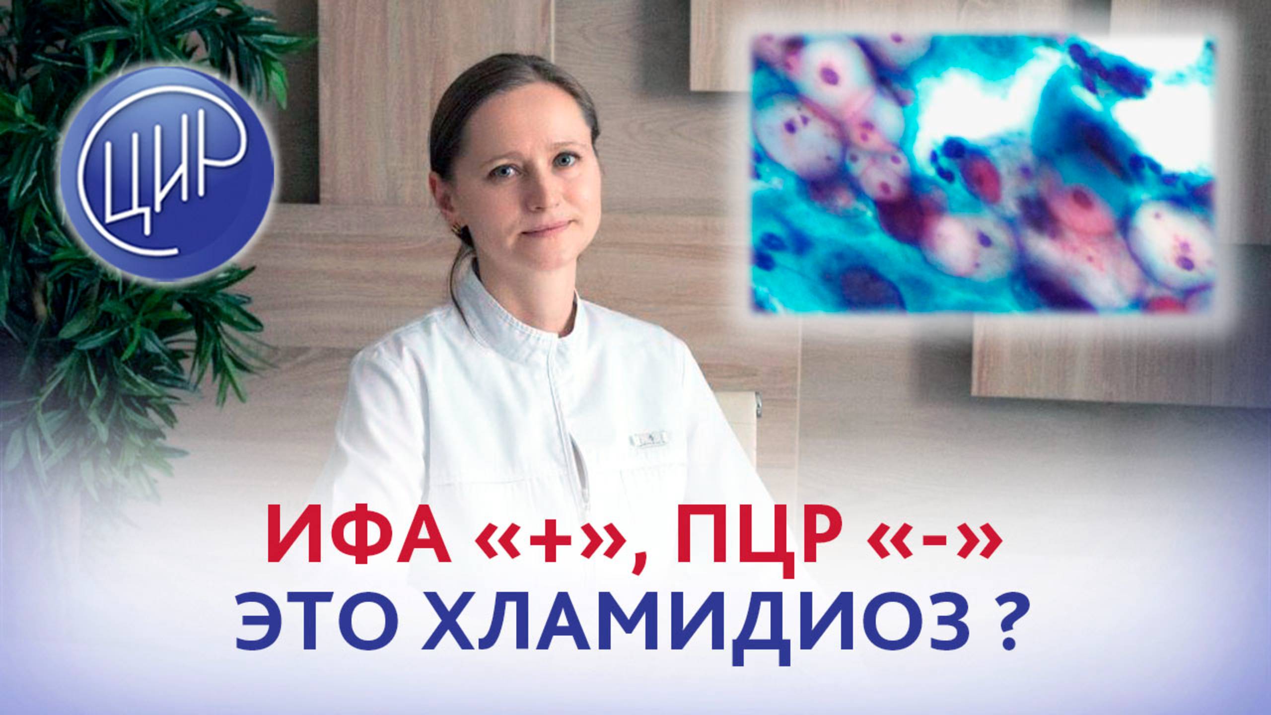 Диагностика хламидиоза. ИФА положительная, ПЦР отрицательная. Есть ли здесь хламидийная инфекция?