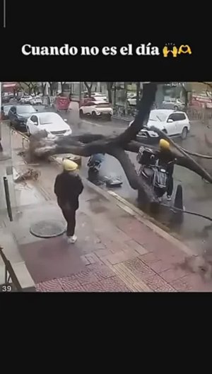 На волоске от смерти