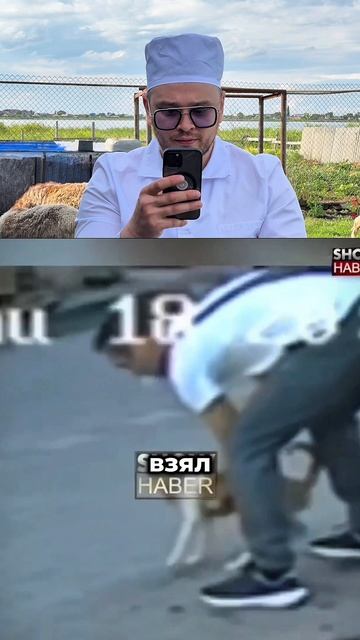 Мир не без добрых людей 😻