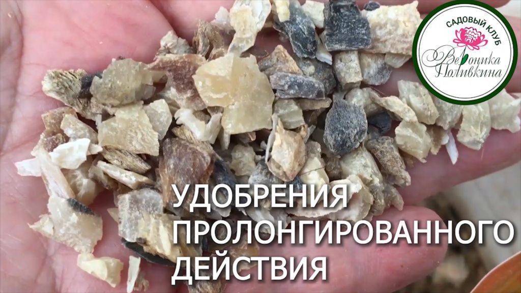 3 САМЫХ ПОПУЛЯРНЫХ УДОБРЕНИЯ ПРОЛОНГИРОВАННОГО ДЕЙСТВИЯ смотреть онлайн