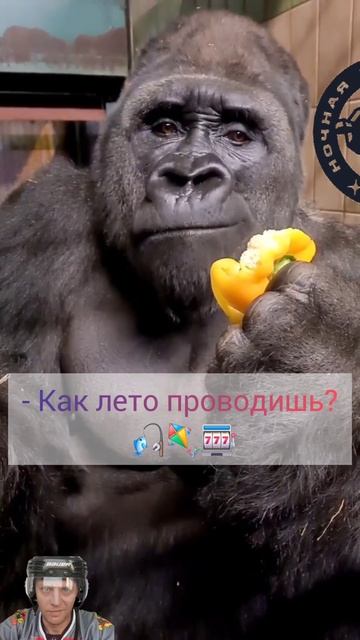 InShot_20250720_142431553