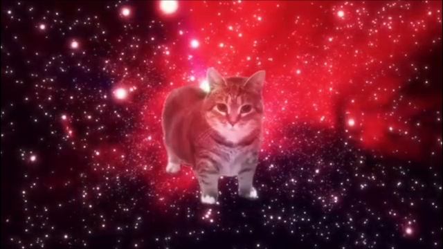 КОТИК "У И А" БЕЗ ОЗВУЧКИ