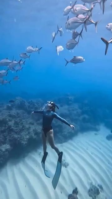 Тишина, которая оглушает: что скрывает безмолвие Японского моря? смотреть онлайн