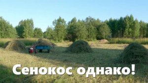 Сенокосная неделя: впервые на ближнем поле! Жизнь в деревне