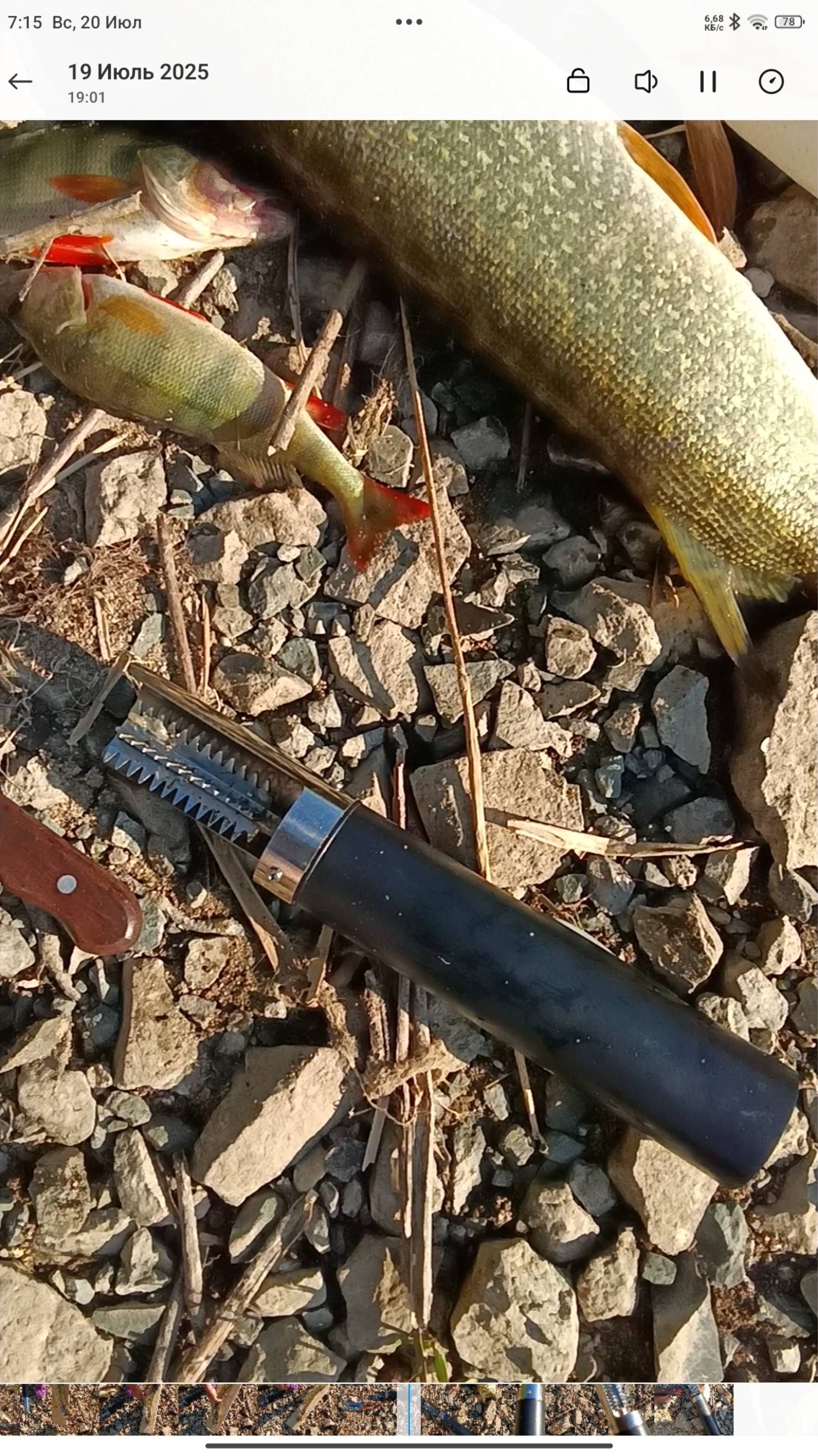 Гаджеты для чистки рыбы.