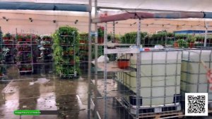 Жаркая пятница в Москве!  #live