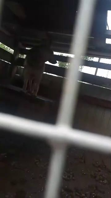 Ох эта погода