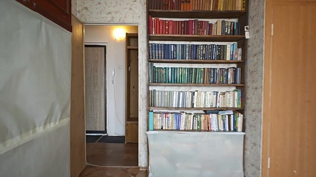 1000068377.mp4 смотреть онлайн