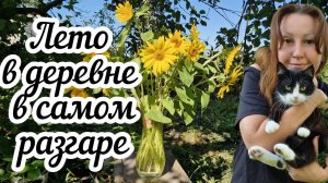 Чем я занимаюсь в деревне? Не скучно ли мне тут? Показываю всё как есть 🌻🏠